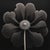 A striking black-and-white botanical print featuring Kalmia angustifolia, meticulously restored and remastered from an...