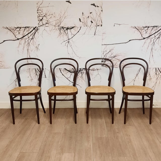 214 R Chairs by Michael Thonet/Paul Stanoβek for Thonet, 1990s, Set of 4 For Sale - Image 16 of 16