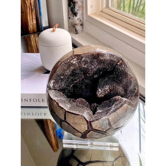 Septarian Egg Sphere With Lid Secret Compartment For Sale - Image 4 of 6