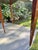 Flame Mahogany Demi-Lune Accent Table For Sale - Image 12 of 18