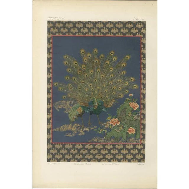 Beige Peacocks in Full Plumage, 1880s, Paper For Sale - Image 8 of 10