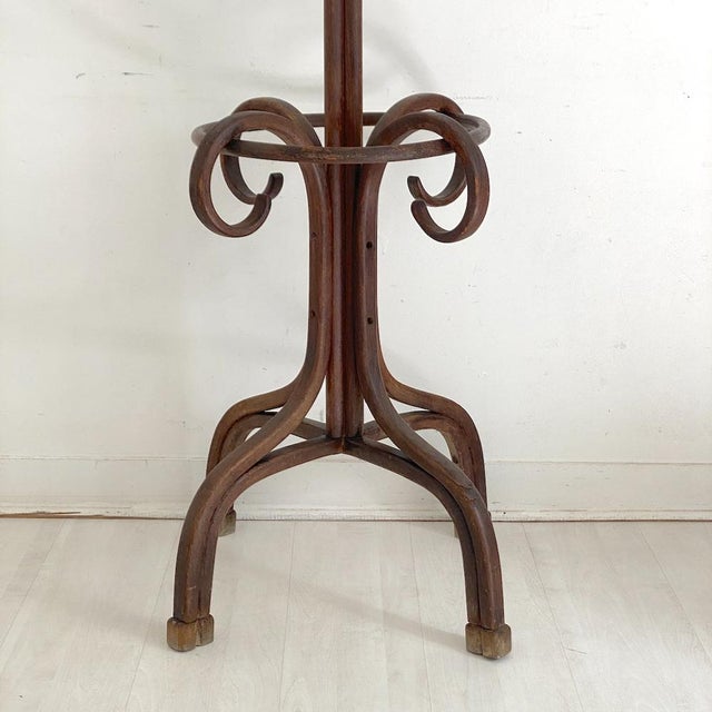 Bentwood coat rack in the shape of a parrot, early 20th century. Some signs of wear and age (see photos).