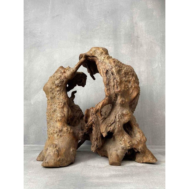 Wabi-Sabi Japanese Sculptural Root Wood Object, 1950s For Sale - Image 9 of 9