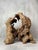 Wabi-Sabi Japanese Sculptural Root Wood Object, 1950s For Sale - Image 9 of 9