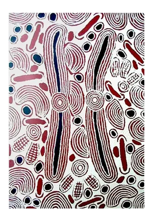 Contemporary Painting by Australian Aboriginal Artist Nigura Napurrula