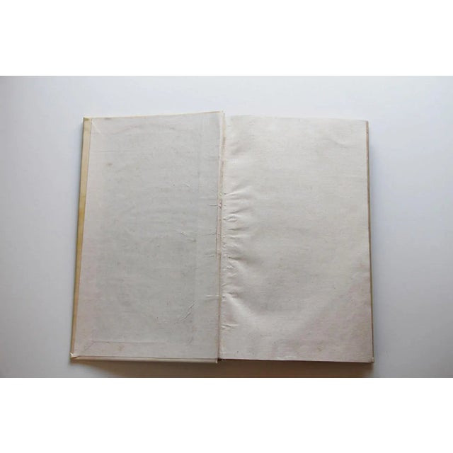 Figurative De Indiae Utriusque Re Naturali Et Medica Libri Quatuordecim For Sale - Image 3 of 13