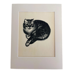 Vintage Clare Turlay Newberry Cat Print in 14x18 Mat: "Oliver - A...Tabby", EUC