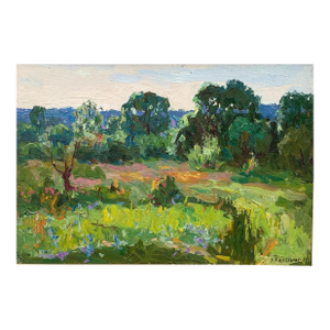 Spring Painting Rural Landscape Impressionism Antique Oil Painting Original Soviet Art Ukrainian Artist Kalatsyuk y.a. 24-34 1985