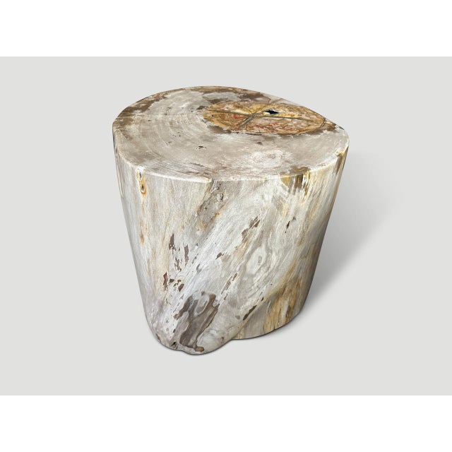 Andrianna Shamaris Impressive Large Petrified Wood Side Table For Sale - Image 14 of 18