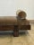 Madura Series Daybed in Ebony For Sale - Image 16 of 18