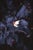 Paul Cooklin, Aquilegan, Edition of 50 For Sale - Image 7 of 7