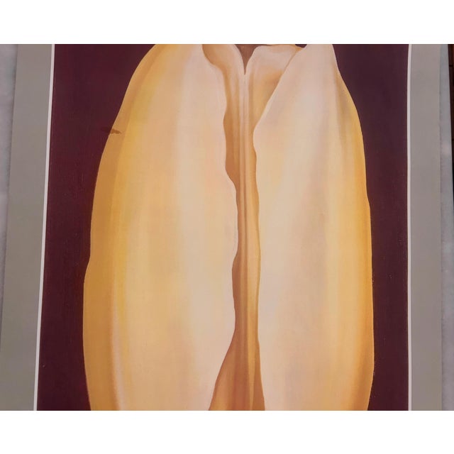 1970s Vintage Lowell Nesbitt “Yellow Tulip” Hokin Gallery Art Show Poster For Sale - Image 11 of 12