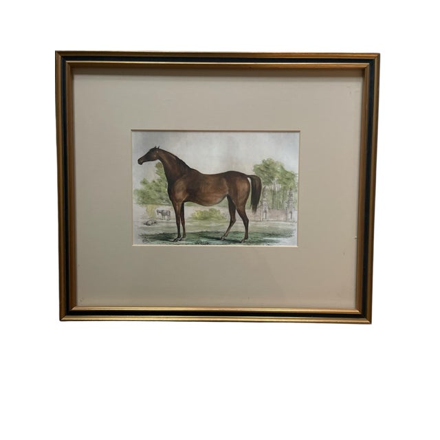 English Equestrian Hand Colored Set of Prints - Set of 2 For Sale - Image 3 of 4
