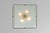 Gold 2026 Pendant Light attributed to Max Ingrand for Fontana Arte, Italy, 1960 For Sale - Image 8 of 18