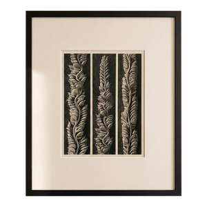 1942 Karl Blossfeldt Photogravure — Plate 95, Wunder in Der Natur