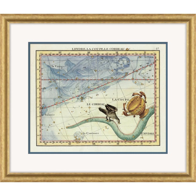 Astrology Signs Series Framed Art Prints - Set of 12 by David Phoenix For Sale - Image 9 of 13