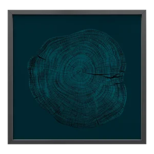 Stump 1 - Variation 15 by Trinette + Chris Print with Black Frame - 50 X 50