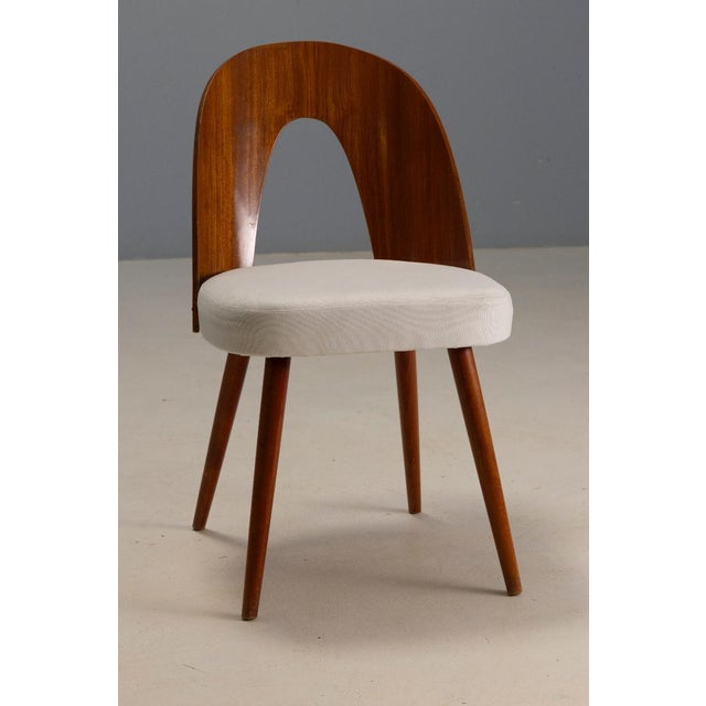 Dining Chairs from Antonín Šuman, Czechoslovakia, 1960s, Set of 4 For Sale - Image 4 of 7