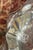 Glass Set of Five Baccarat Crystal Animal Figures & Bowl. Late 20th Century. For Sale - Image 7 of 7