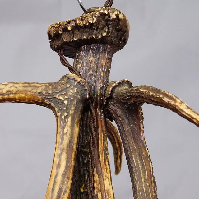 Glass Rustic Black Forest Ceiling Lamp With Deer Antlers 1920s For Sale - Image 7 of 7