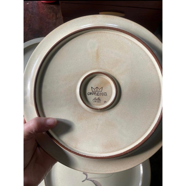 Yellow Vintage German Stoneware 9.75” Plates - Set of Four (4) For Sale - Image 8 of 8