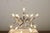 C300 Table Lamp in Acrylic Glass, Aluminum and Plastic by Robert and Trix Haussmann for Swiss Lamps International, 1965 For Sale - Image 6 of 16