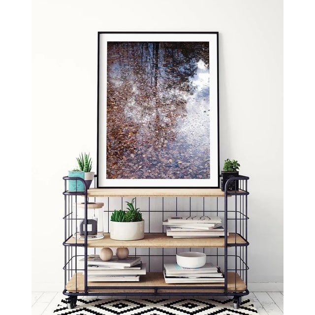 Contemporary Contemporary Forest Landscape Photography Print, 'Autumn Detritus' 30 X 45" Fine Art Photograph For Sale - Image 3 of 8