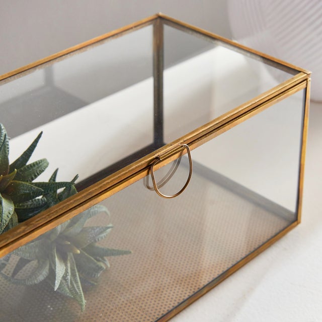 Early 21st Century Arwen Rectangular Display Box For Sale - Image 5 of 7