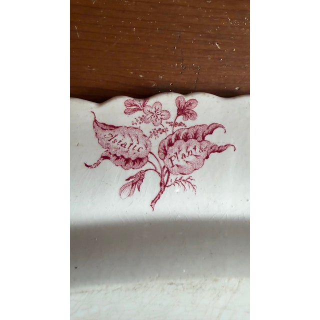 Pink A Very Fine Antique Pink Transferware Decorated Staffordshire Platter "Asiatic Plants" Pattern, Circa 1840's For Sale - Image 8 of 14