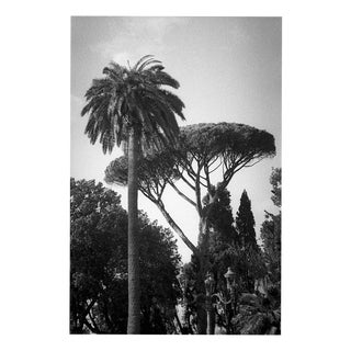Paul Cooklin, Rome Italy 00151, Edition of 50 For Sale