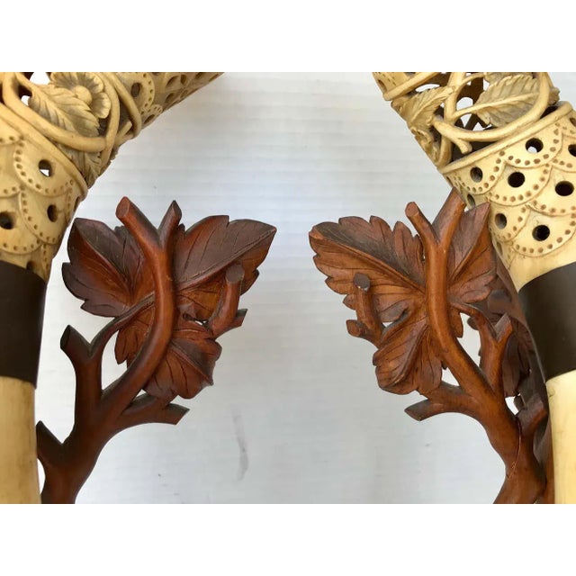 Pair of Anglo-Indian Mounted Steer Horns For Sale In West Palm - Image 6 of 13