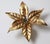 Golden Flowers Wall Lamp by Willy Daro from Massive, 1970s For Sale - Image 12 of 17