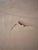 Beautiful Signed Landscape Painting For Sale - Image 11 of 12