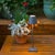 LED light with polycarbonate diffuser Offered in choice of 16 colors Full range touch dimming Color temperature selection...
