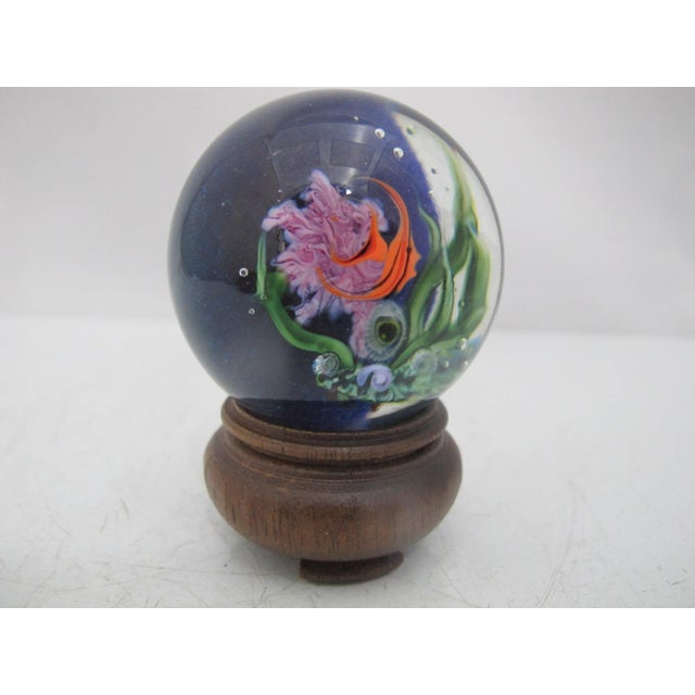 Mid 20th Century David P Salazar Glass 3d Ocean Angel Fish Marble Paperweight on Stand For Sale - Image 5 of 8