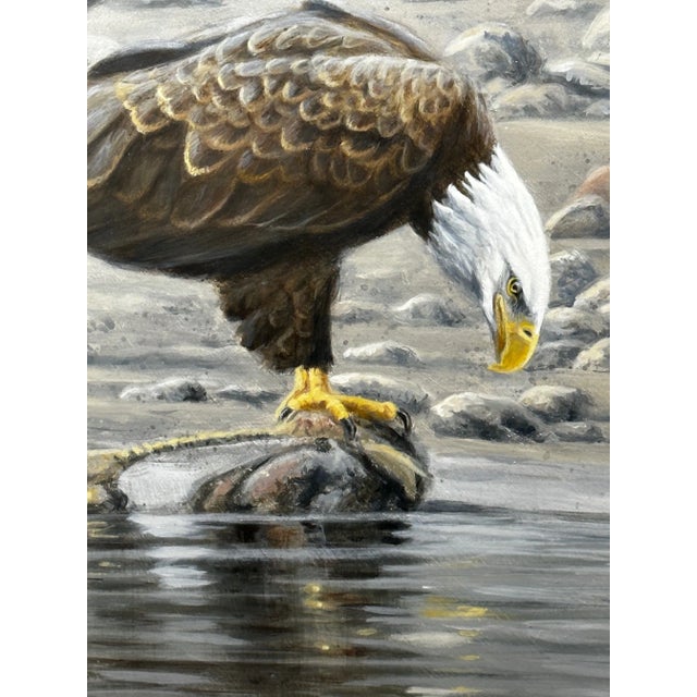 Gray Vintage Realist Painting of North American Bald Eagles Gathering Fishing by Justin Prigmore For Sale - Image 8 of 13
