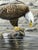 Gray Vintage Realist Painting of North American Bald Eagles Gathering Fishing by Justin Prigmore For Sale - Image 8 of 13