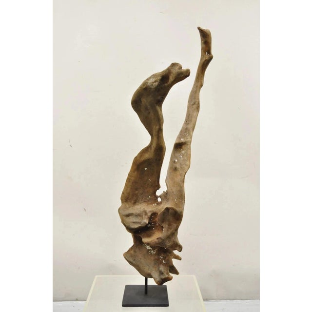 Vintage Abstract Sculpted Wood Sculptural Free Form Table Sculpture Statue For Sale - Image 12 of 12