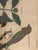 Pair 19th C Hand Colored Engravings of Extinct Species For Sale - Image 11 of 15