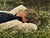Young Boy Fishing by a Beautiful Riverside in Lush Green English Countryside 1995 For Sale - Image 9 of 18