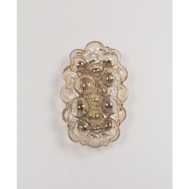 1 of 3 amber bubble glass sconces in style of helena tyrell, germany. High quality and in very good condition. Cleaned,...