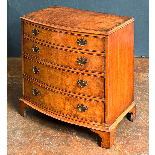 English English Bow Front Small Chest of Burr Walnut With Four Drawers For Sale - Image 3 of 11