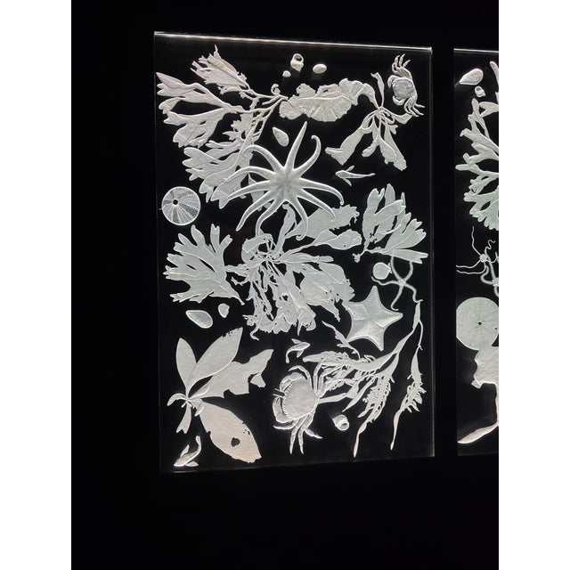 Hand Engraved Sea Life Glass and Metal Coffee Table For Sale - Image 11 of 15