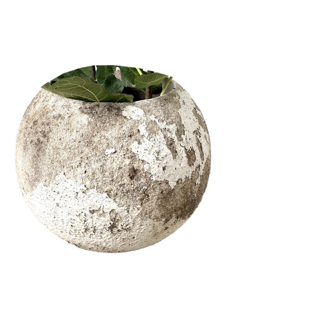 Spherical Planter Made of Fiber Cement, DLG Willy Guhl, 1960s For Sale
