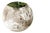 Spherical Planter Made of Fiber Cement, DLG Willy Guhl, 1960s For Sale
