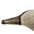 Mid 20th Century Mid-20th Century Tibetan Ritual Conch Shell Trumpet For Sale - Image 5 of 11