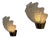 Coquille Wall Lights in Brass and Glass from Asea, Sweden, 1940s, Set of 2 For Sale