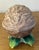 Vintage walnut shaped box made in France and stamped Limoges France, Decore a la main. meaning it was hand painted.