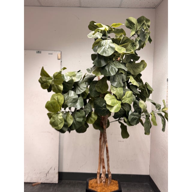 Black Faux Fiddle Leaf Fig Tree + Tapered Black Planter For Sale - Image 8 of 12