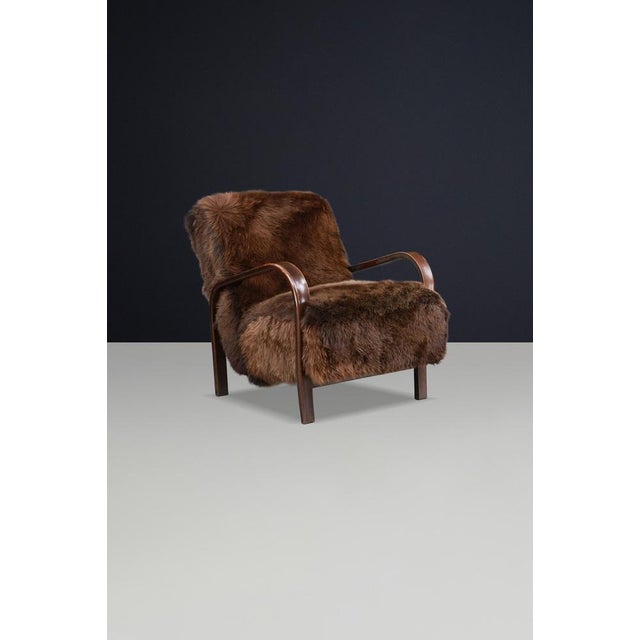 Brown Mid-Century Czech Bentwood and Sheepskin Chair attributed to Kozelka Kropacek, 1940s For Sale - Image 8 of 12